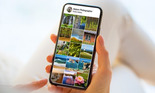 Person,Looking,At,Nature,And,Landscape,Photographs,On,Mobile,Phone