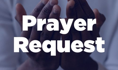 xr:d:DAD2bl13KgQ:2391,j:2024788271734830710,t:24022920